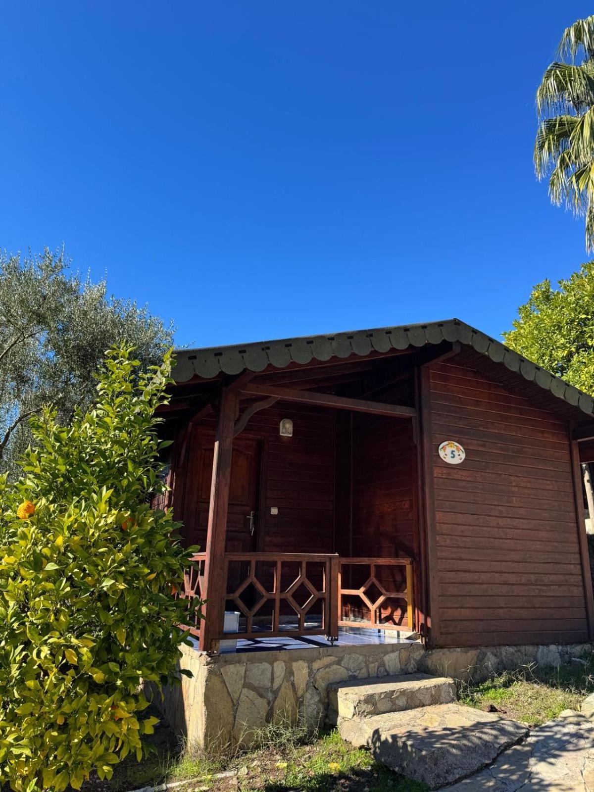 Olympos Talara By Arzum Hotel Kumluca Kültér fotó