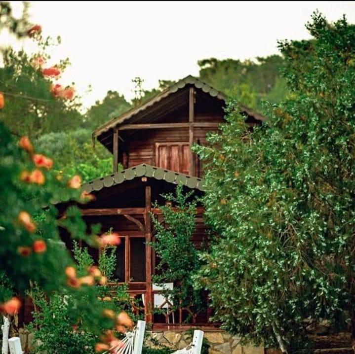 Olympos Talara By Arzum Hotel Kumluca Kültér fotó