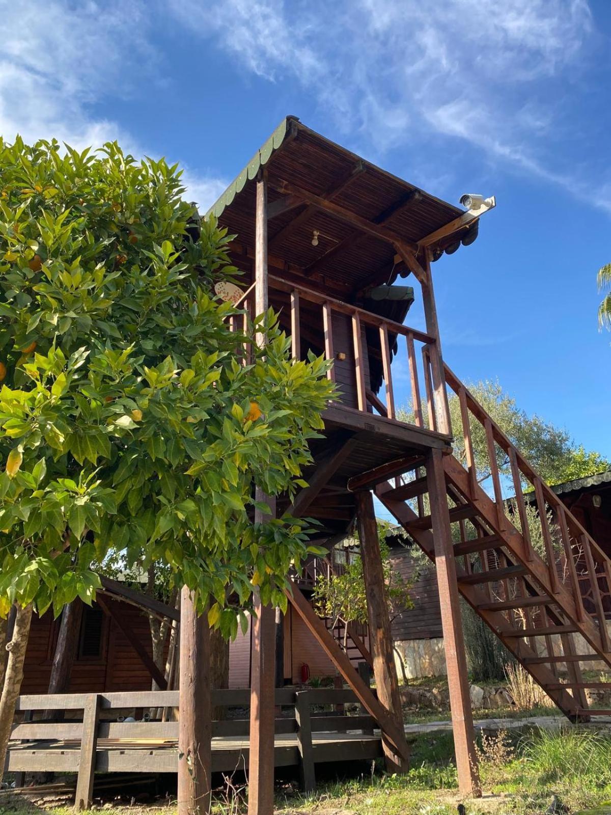 Olympos Talara By Arzum Hotel Kumluca Kültér fotó