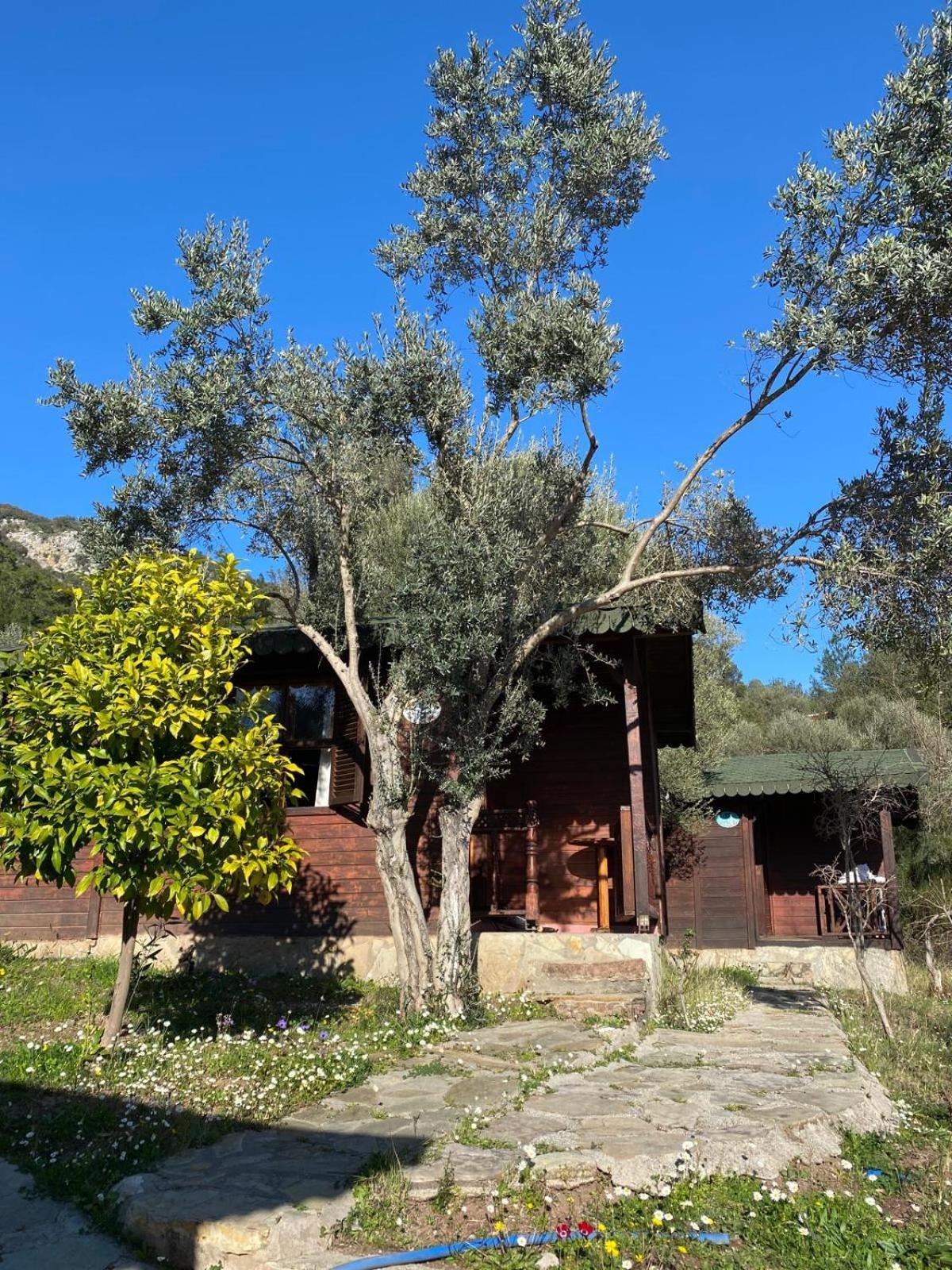 Olympos Talara By Arzum Hotel Kumluca Kültér fotó